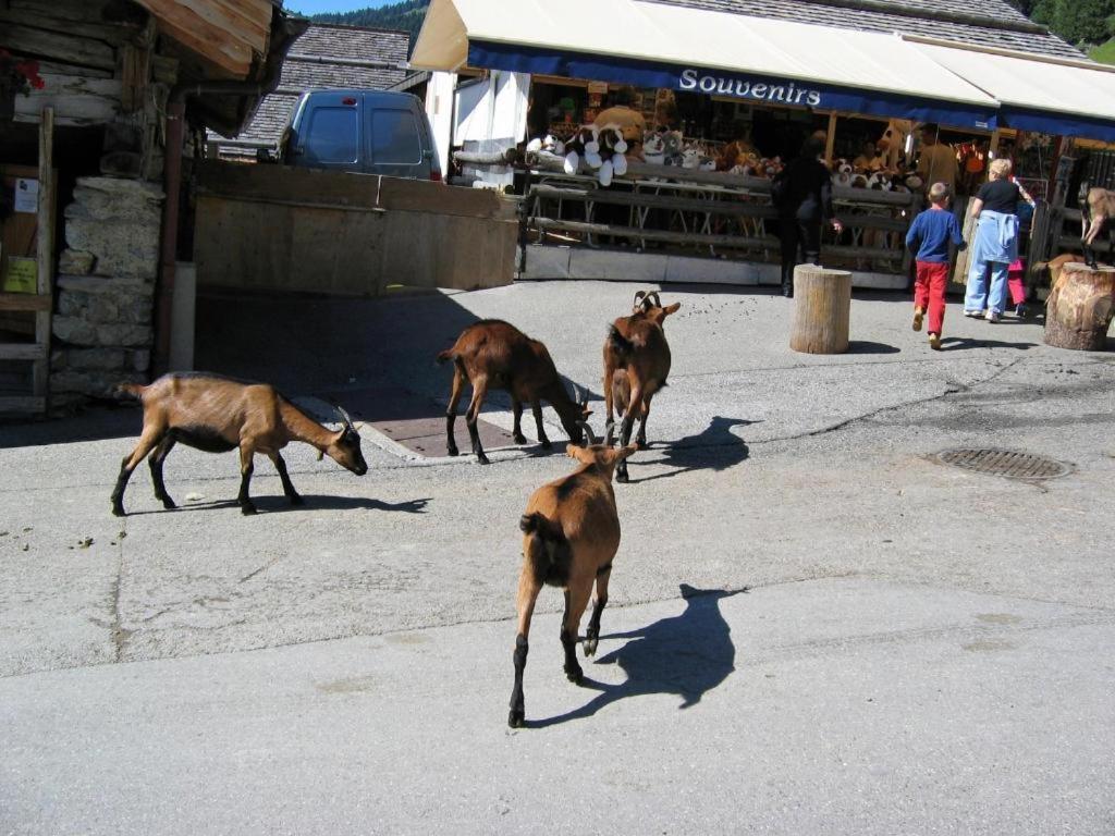 Entre Alpes Et Leman Bed & Breakfast Publier Eksteriør bilde